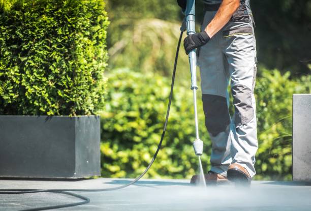Best Pool Deck Cleaning  in Yalaha, FL