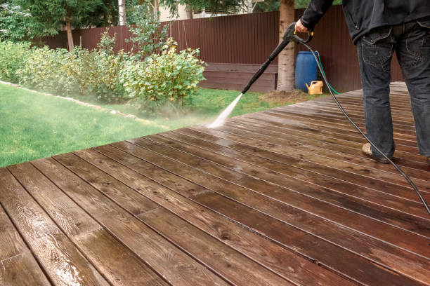 Best Building Exterior Washing  in Yalaha, FL